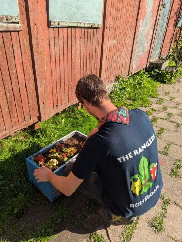T-shirt - Afbeelding 4